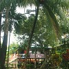 crop village-au-bord-du-kinabatangan_1356199309.jpg
