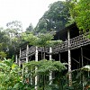crop Orang Ulu longhouse.jpg