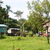 crop Village penang.jpg