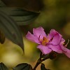 img_1638