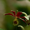 img_1654