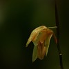 img_1658