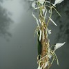 img_1924z