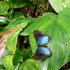 rio-celeste