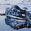 crop Gros glaçon du Jokulsarlon.jpg