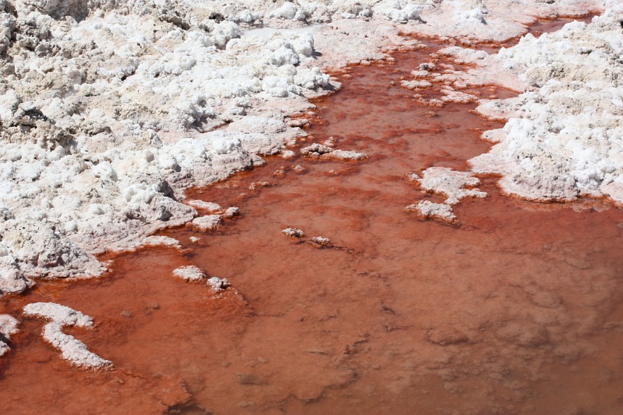 laguna-chaxa-salar-de-atacama