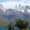 pavots-devant-les-torres