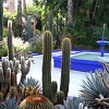 Le jardin de Majorelle