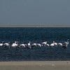 Walvis Bay