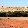 kalahari